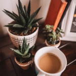 Awali Hari dengan Sentuhan Tenang